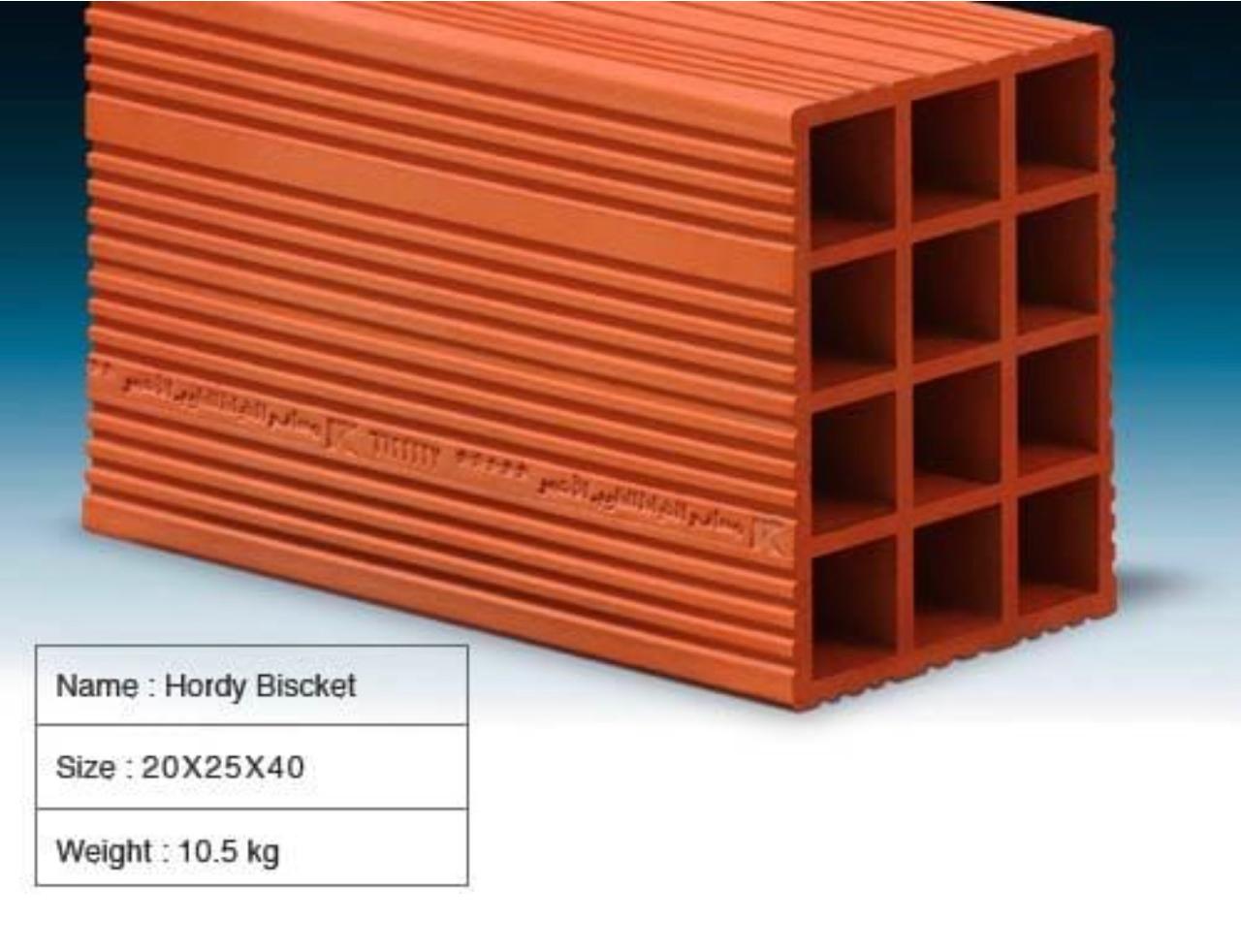 Ceiling Hourdi
